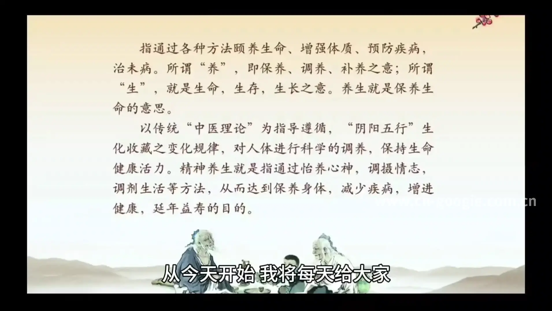 气血调理 - 真实按摩理疗场景实拍